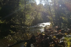 WhatsApp-Image-2021-09-29-at-14.29.26-2