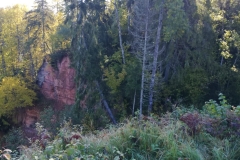 WhatsApp-Image-2021-09-29-at-14.29.27