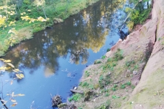 WhatsApp-Image-2021-09-29-at-14.31.18-1