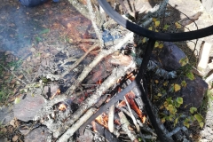 WhatsApp-Image-2021-09-29-at-14.31.18