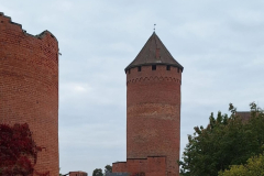 IMG-20241009-WA0020