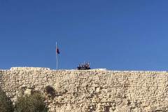t2-15