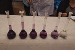 IMG_20181108_150023 (Medium)