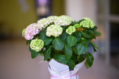 VVG_09.05.2025-3.jpg